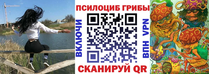 где найти наркотики  Рудня  Галлюциногенные грибы ЛСД 